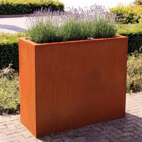 Raised Garden Boxes